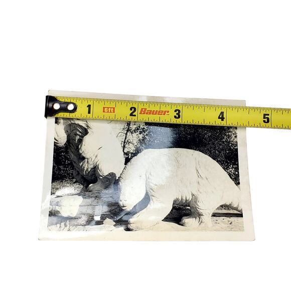 Vtg Sloths in Park of Tar Pits B&W Monochrome Photo 1940s Found Snapshot - Picture 4 of 4
